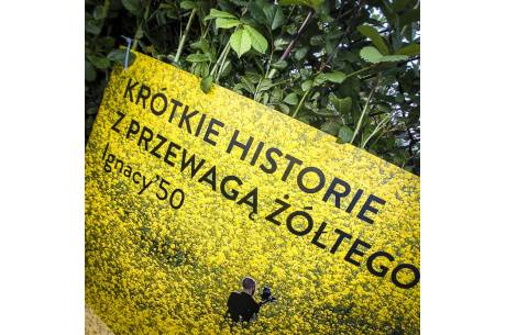 "KRÓTKIE HISTORIE Z PRZEWAGĄ ŻÓŁTEGO..." - nowa wystawa w GALERII NA PŁOCIE