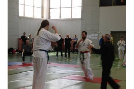 Srebrny medal dla zawodnika Cieszyńskiej Szkoły Karate Kyokushin.