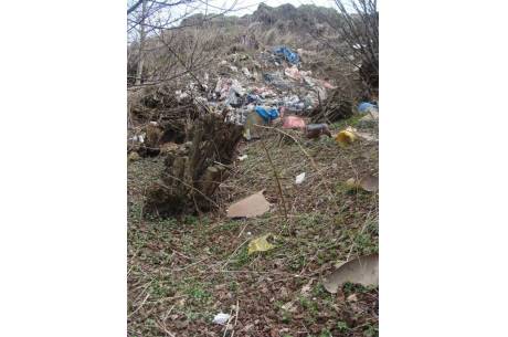 Kolejne nielegalne wysypisko śmieci w Cieszynie